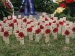 Pri príležitosti Dňa vojnových veteránov sa rozdávali červené maky